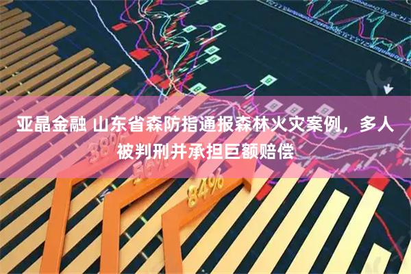 亚晶金融 山东省森防指通报森林火灾案例，多人被判刑并承担巨额赔偿