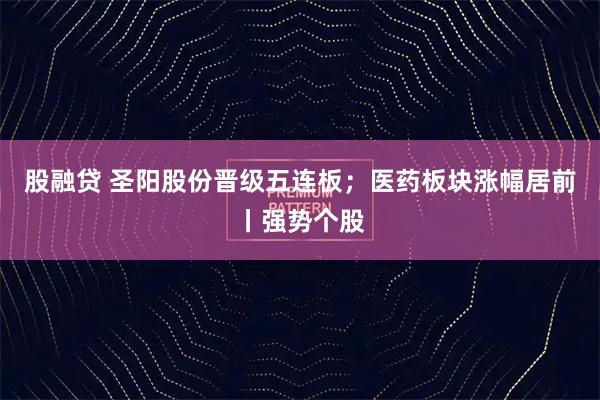股融贷 圣阳股份晋级五连板；医药板块涨幅居前丨强势个股